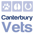 Canterbury Vets